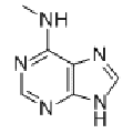 anti-HYAL1 antibody (Hyaluronidase-1) (N-Term)