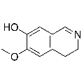 anti-HYAL1 antibody (Hyaluronidase-1) (N-Term)