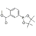 anti-HYAL1 antibody (Hyaluronidase-1) (N-Term)