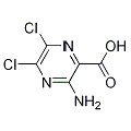 anti-HYAL1 antibody (Hyaluronidase-1) (N-Term)