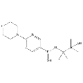 anti-HYAL1 antibody (Hyaluronidase-1) (N-Term)