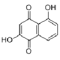 anti-HYAL1 antibody (Hyaluronidase-1) (N-Term)