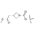 anti-HYAL1 antibody (Hyaluronidase-1) (N-Term)