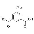 anti-HYAL1 antibody (Hyaluronidase-1) (N-Term)