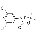 anti-HYAL1 antibody (Hyaluronidase-1) (N-Term)