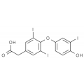 anti-HYAL1 antibody (Hyaluronidase-1) (N-Term)