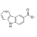 anti-HYAL1 antibody (Hyaluronidase-1) (N-Term)