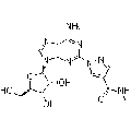 anti-HYAL1 antibody (Hyaluronidase-1) (N-Term)