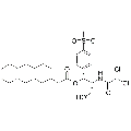 anti-HYAL1 antibody (Hyaluronidase-1) (N-Term)
