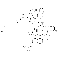 anti-HYAL1 antibody (Hyaluronidase-1) (N-Term)
