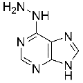 anti-HYAL1 antibody (Hyaluronidase-1) (N-Term)