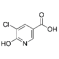 anti-HYAL1 antibody (Hyaluronidase-1) (N-Term)
