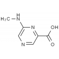 anti-HYAL1 antibody (Hyaluronidase-1) (N-Term)