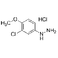 anti-HYAL1 antibody (Hyaluronidase-1) (N-Term)