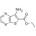 anti-HYAL1 antibody (Hyaluronidase-1) (N-Term)