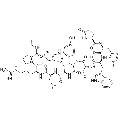anti-HYAL1 antibody (Hyaluronidase-1) (N-Term)