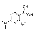 anti-HYAL1 antibody (Hyaluronidase-1) (N-Term)
