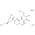 anti-HYAL1 antibody (Hyaluronidase-1) (N-Term)