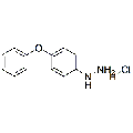 anti-HYAL1 antibody (Hyaluronidase-1) (N-Term)