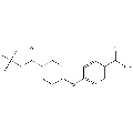 anti-HYAL1 antibody (Hyaluronidase-1) (N-Term)
