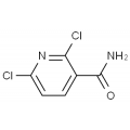 anti-HYAL1 antibody (Hyaluronidase-1) (N-Term)