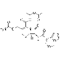 anti-HYAL1 antibody (Hyaluronidase-1) (N-Term)