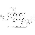 anti-HYAL1 antibody (Hyaluronidase-1) (N-Term)