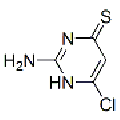 anti-HYAL1 antibody (Hyaluronidase-1) (N-Term)