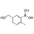 anti-HYAL1 antibody (Hyaluronidase-1) (N-Term)