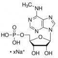 anti-HYAL1 antibody (Hyaluronidase-1) (N-Term)
