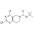 anti-HYAL1 antibody (Hyaluronidase-1) (N-Term)