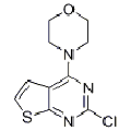 anti-HYAL1 antibody (Hyaluronidase-1) (N-Term)
