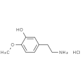 anti-HYAL1 antibody (Hyaluronidase-1) (N-Term)