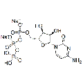anti-HYAL1 antibody (Hyaluronidase-1) (N-Term)