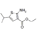 anti-HYAL1 antibody (Hyaluronidase-1) (N-Term)