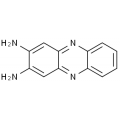 anti-HYAL1 antibody (Hyaluronidase-1) (N-Term)