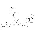 anti-HYAL1 antibody (Hyaluronidase-1) (N-Term)