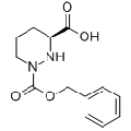 anti-HYAL1 antibody (Hyaluronidase-1) (N-Term)