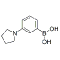 anti-HYAL1 antibody (Hyaluronidase-1) (N-Term)
