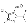 anti-HYAL1 antibody (Hyaluronidase-1) (N-Term)