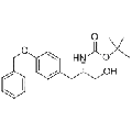 anti-HYAL1 antibody (Hyaluronidase-1) (N-Term)