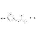 anti-HYAL1 antibody (Hyaluronidase-1) (N-Term)
