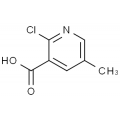 anti-HYAL1 antibody (Hyaluronidase-1) (N-Term)