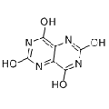 anti-HYAL1 antibody (Hyaluronidase-1) (N-Term)