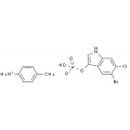 anti-HYAL1 antibody (Hyaluronidase-1) (N-Term)