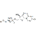 anti-HYAL1 antibody (Hyaluronidase-1) (N-Term)