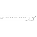 anti-HYAL1 antibody (Hyaluronidase-1) (N-Term)