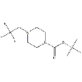 anti-HYAL1 antibody (Hyaluronidase-1) (N-Term)