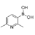 anti-HYAL1 antibody (Hyaluronidase-1) (N-Term)