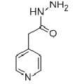 anti-HYAL1 antibody (Hyaluronidase-1) (N-Term)